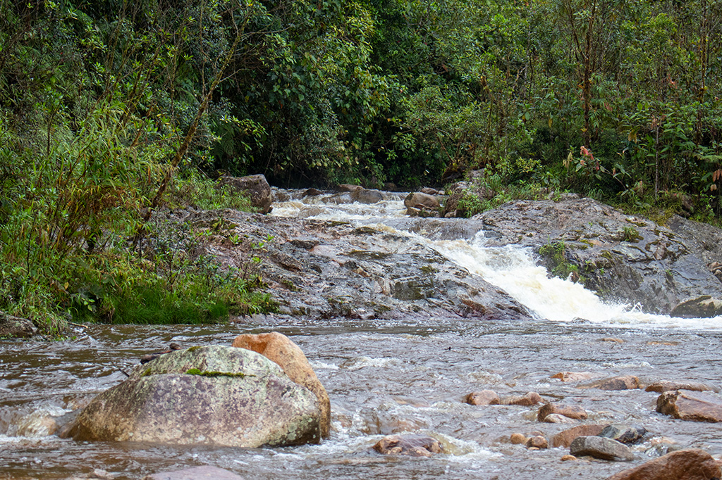 galeria1 Fotografía de una quebrada, con piedras y selva al fondo