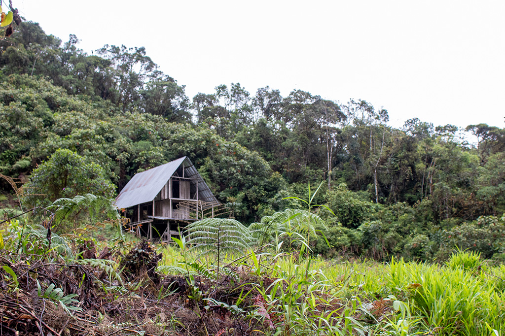 galeria2 Cabaña en medio de la Selva