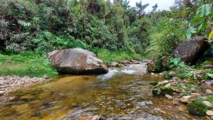 Quebrada grande en medio de la selva