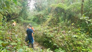 Personas caminando en la selva